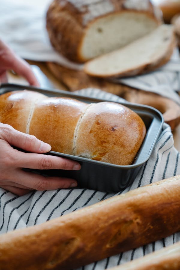 Pain jacquet : découvrez des pains artisanaux français exceptionnels